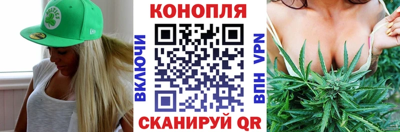 Купить  Щучье  Бошки Шишки SATIVA & INDICA 